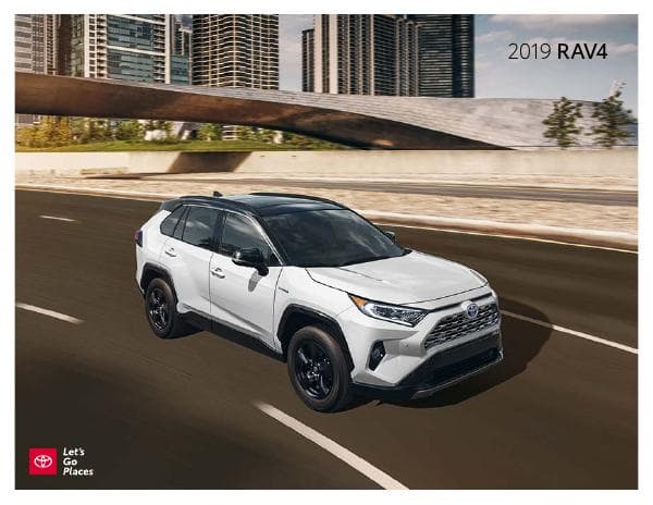 Toyota_US%20RAV4_2019-2