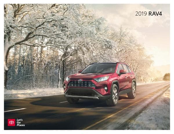 Toyota_US%20RAV4_2019