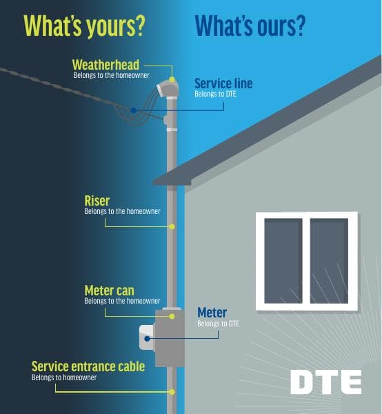 TreeGuardAssuranceInfographic