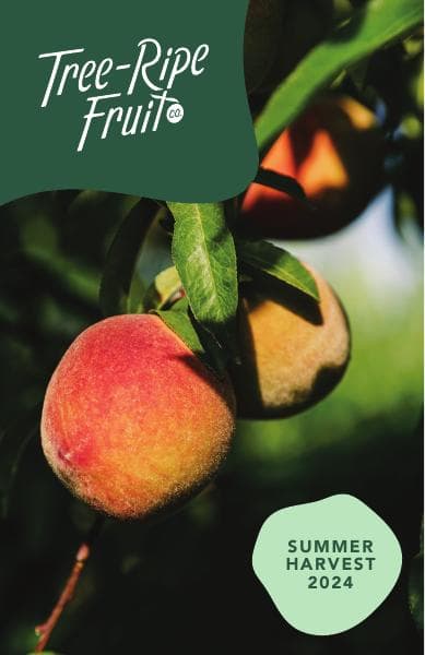 TreeRipeSummer2024FULL