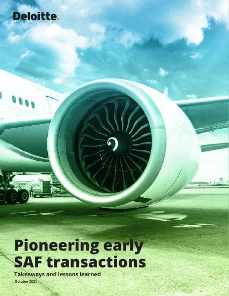 us-deloitte-saf-report