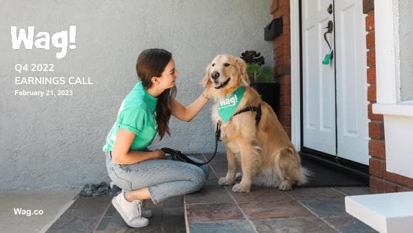 Wag! Group Holdings__2023__363_91363