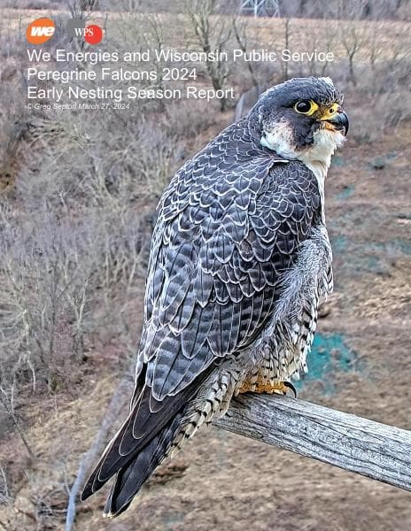 we-wps-early-nesting-report2024