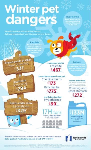 Winter_Pet_Dangers_Infographic