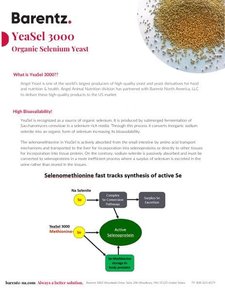 YeaSel 3000 Sell Sheet 2024