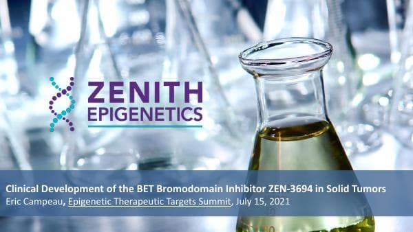 zenith-epigenetic-therapeutic-targets-2021-final